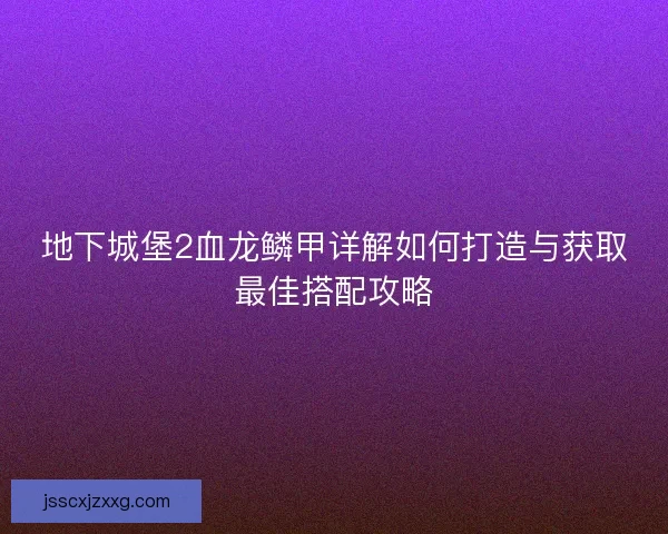 地下城堡2血龙鳞甲详解如何打造与获取最佳搭配攻略